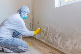 Best Industrial Mold Remediation  in USA